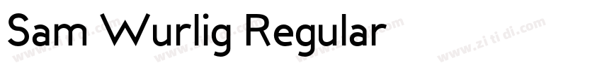 Sam Wurlig Regular字体转换